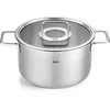 Image de Faitout - FISSLER - Pure - Acier inoxydable 24 cm - 57 L - Tous feux (dont induction)