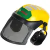 Image de Casque De Travailleur Forestier Avec Visière
