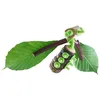 Image de Kit Construction Haba Terra Kids Connectors Multicolor Bois