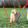 Image de TRIXIE Piquets de slalom pour parcours dagilité 115 cm 12 pcs Plastique