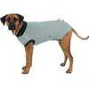 Image de Body de Protection - NC - Trixie - Taille XS-S - Couleur Bleu - Pour Chien
