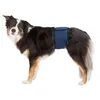 Image de Bande ventrale pour chiens - TRIXIE - XL - Tissu respirable - 3 serviettes absorbantes - Bleu foncé