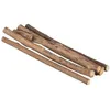 Image de TRIXIE Sticks à mâcher Matatabi - 10g - Pour chat