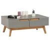 Image de Table Basse Tibor, 2 Tiroirs Et 2 Niches, Lasuré Gris