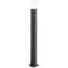 Image de Potelet led, 1xe27, max. 28w, détecteur de mouvement, anthracite , hauteur 80cm - trio - hoosic