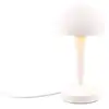 Image de Lampe canaria