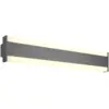 Image de Applique murale led anthracite ip54 réglable 3 températures - trio - dawson