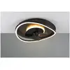 Image de Plafonnier ventilateur dimmable cct - trio - sortland