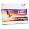Image de Pelikan Promopack P54 Cartouche D'encre 4 Pièce(s) Compatible Noir, Cyan, Magenta, Jaune