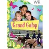 Image de GRAND GALOP / Jeu console Wii