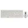 Image de Cherry B.unlimited 3.0 Clavier Souris Incluse Bureau Rf Sans Fil Allemand Gris