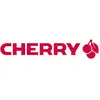 Image de Cherry Dw 9100 Slim Clavier Souris Incluse Universel Rf Sans Fil + Bluetooth Qwerty Anglais Britannique Noir