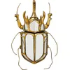 Image de Décoration murale miroir - Kare Design - Scarabée - Jaune - 37x28x7 cm - Contemporain