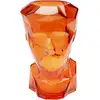 Image de vase prisma visage orange 30cm