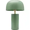 Image de lampe loungy vert sauge