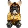 Image de tirelire chien boxeur