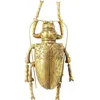 Image de Déco murale Longicorn Beetle dorée Kare Design