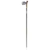 Image de Bâtons Leki Flash Carbon noir (paire) - 125