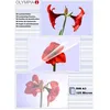 Image de Olympia Feuilles pour plastifieuse à chaud