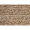 Image de Photo Murale Exposed Brick Wall 368 X 254 Cm 8-741 Komar
