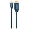 Image de Câble USB-C vers DisplayPort - 1 m