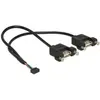 Image de Cable Usb 2.0 Femelle Delock 10 Broches 2,00 Mm 2 X Usb 2.0 Type A Femelle Montage Sur Panneau 25 Cm