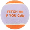 Image de Balle pour chien Coockoo Fetch Me