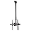 Image de Support TV plafond - HAMA - 00118655 - Inclinable et pivotable - VESA jusquà 400x400
