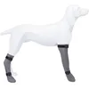Image de TRIXIE Chaussettes de protection en silicone - S : 6 cm-30 cm - Gris - Pour chien
