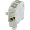 Image de HoraeTec 080110-0-3 Borne de dérivation pour conduite principale PA laiton gris clair (RAL 7035) 1 pôle 100 A 690 V Ty