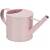 Image de Relaxdays Petit arrosoir 13 litres pour plantes d’intérieur décoration design vintage nostalgique métal rose
