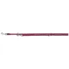 Image de Laisse réglable pour chien TRIXIE Cavo - L XL: 2m - ø 18 mm - Fushia et gris graphite