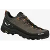 Image de Chaussures Salewa Alp Trainer 2 GORE-TEX gris - 44