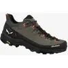 Image de Chaussures Salewa Alp Trainer 2 gris - 42