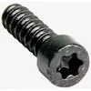 Image de Vis de fixation pour manette de frein Magura MT noir (10 unités)
