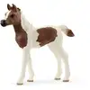 Image de Schleich Horse Club Poulain Pintabian
