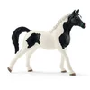 Image de Schleich Horse Club Etalon Pintabian