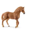 Image de Jument Quarter Horse