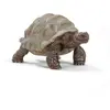 Image de Figurine Tortue Géante L4 x l7 x h4 cm SCHLEICH