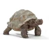 Image de Figurine Tortue géante - SCHLEICH - Wild Life - Pour enfants à partir de 3 ans - Garantie 2 ans