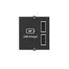 Image de BACHMANN Plastron chargeur 2 ports USB