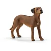 Image de Figurine chien de Rhodésie à crête dorsale - SCHLEICH - Chien de Rhodésie à crête dorsale - Farm World