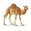 Image de Figurine Dromadaire SCHLEICH