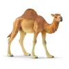 Image de Figurine Dromadaire - SCHLEICH - Wild Life - Jouet éducatif pour enfants de 3 à 8 ans