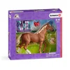 Image de Figurine Pur-Sang Anglais avec Couverture SCHLEICH