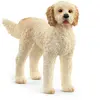Image de Figurine Chien Goldendoodle SCHLEICH