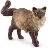 Image de Figurine Chat Ragdoll SCHLEICH
