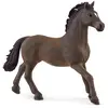 Image de Figurine Étalon Oldenbourg SCHLEICH