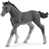 Image de Schleich - Poulain Trakehnen - 13944