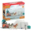 Image de Coffret Expédition En Antarctique, Figurines Animaux Sauvages, 42558 Wild Life, Pour Enfant Des 3 Ans